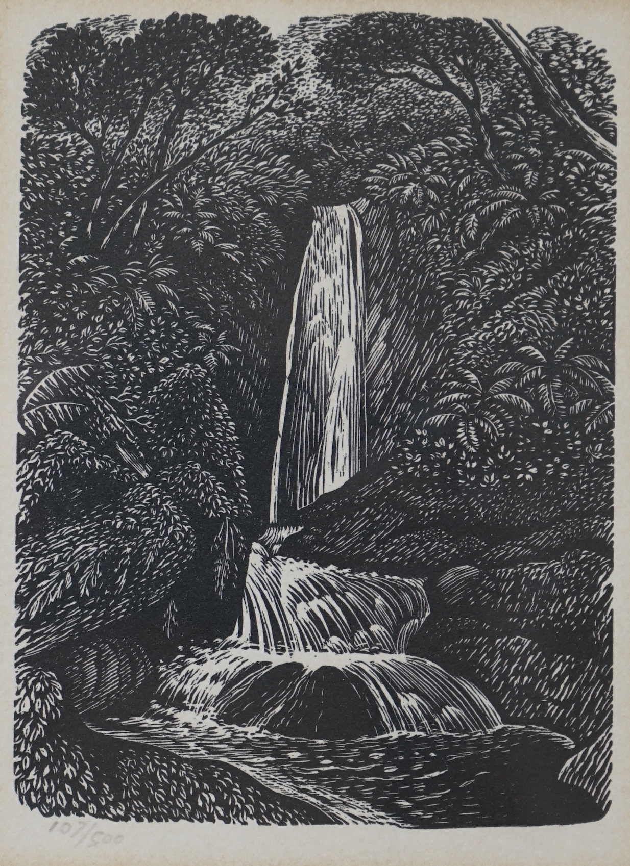 Reynolds Stone (1909-1979), woodcut, 'The Waterfall', pencil numbered 107/500, details verso, 12 x 9cm